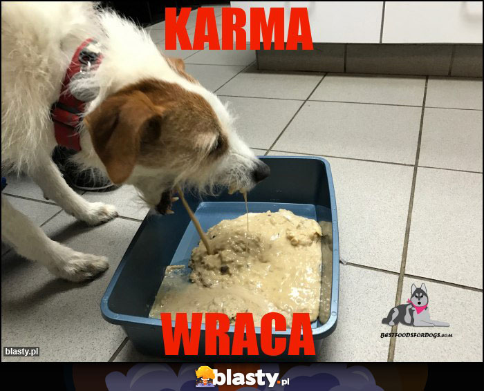 karma