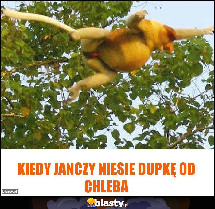 Kiedy Janczy niesie dupkę od chleba