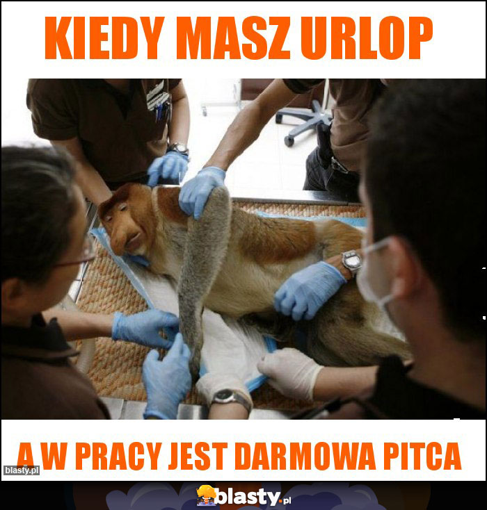 kiedy masz urlop