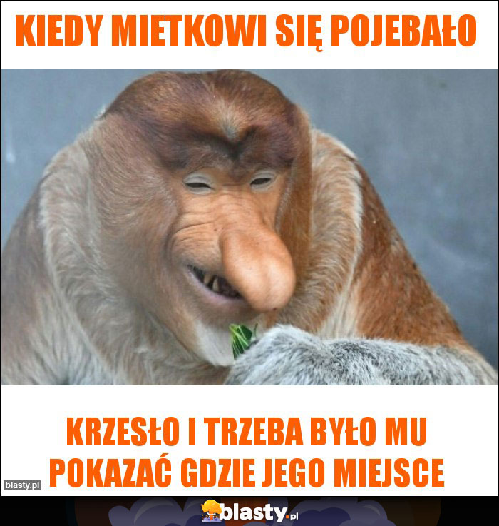 KIEDY MIETKOWI SIĘ POJEBAŁO