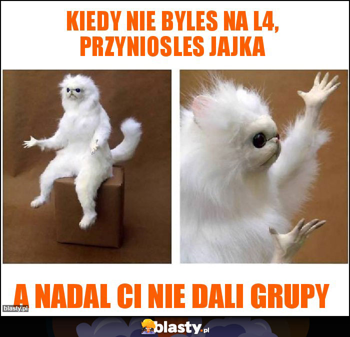 Kiedy nie byles na l4, przyniosles jajka