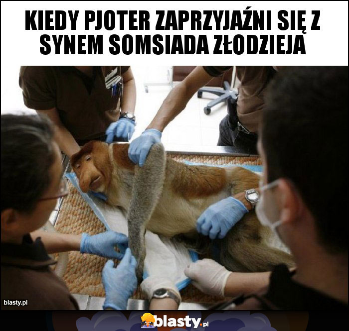 Kiedy Pjoter zaprzyjaźni się z synem somsiada złodzieja