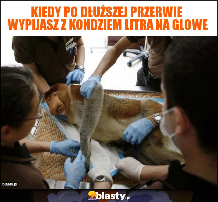 Kiedy Po dłuższej przerwie  wypijasz z kondziem litra na glowe