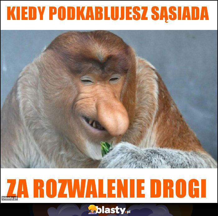 Kiedy podkablujesz sąsiada