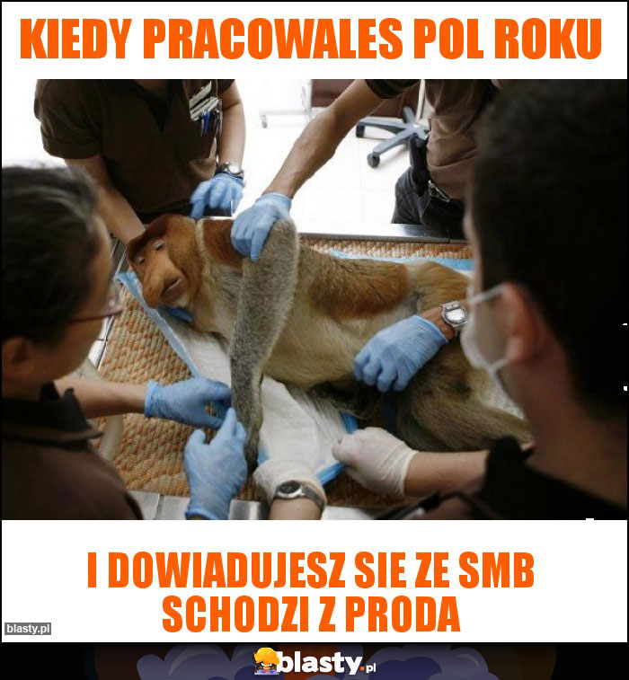 kiedy pracowales pol roku