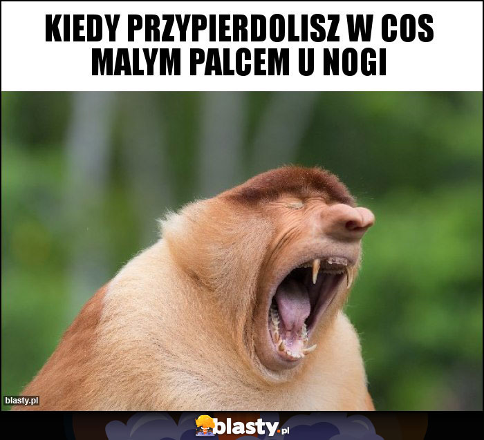 Kiedy przypierdolisz w cos malym palcem u nogi