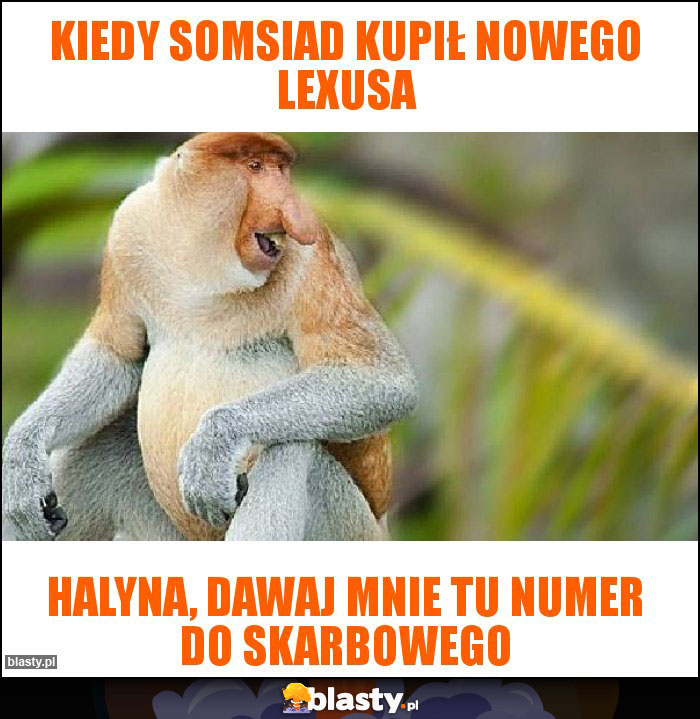 KIEDY SOMSIAD KUPIŁ NOWEGO LEXUSA