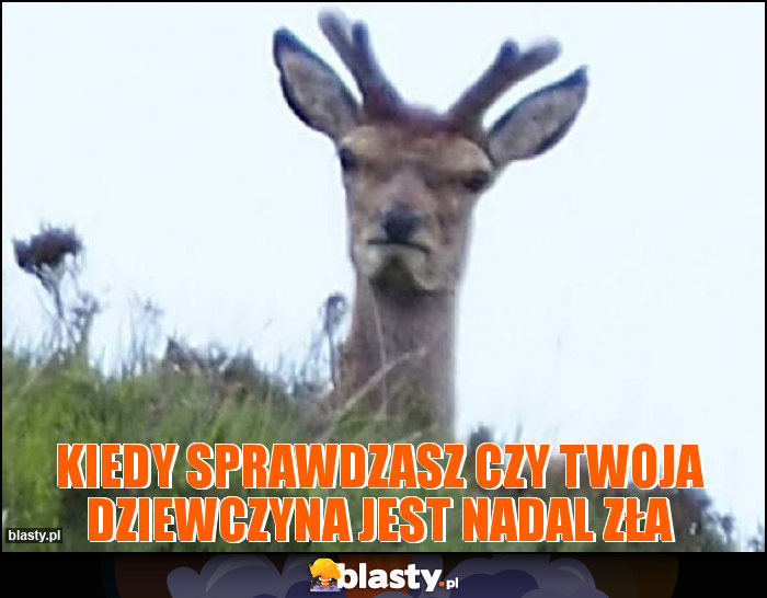 Kiedy sprawdzasz czy twoja dziewczyna jest nadal zła