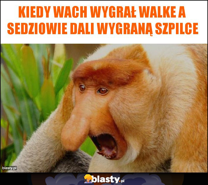 Kiedy wach wygrał walke a  sedziowie dali wygraną szpilce