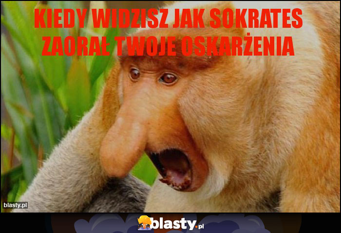 Kiedy Widzisz Jak Sokrates Zaorał Twoje Oskarżenia Memy, Gify I