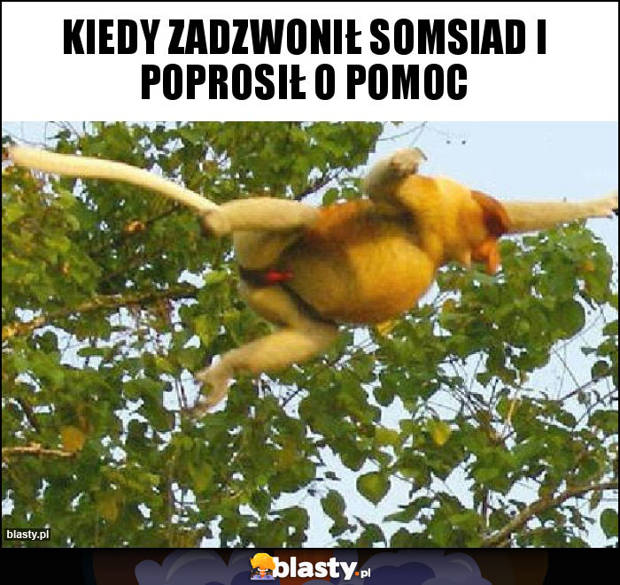 Kiedy zadzwonił somsiad i poprosił o pomoc