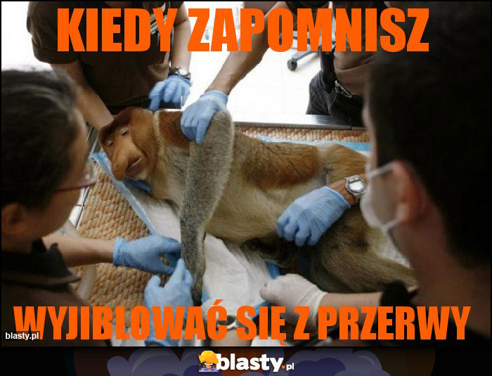 Kiedy zapomnisz