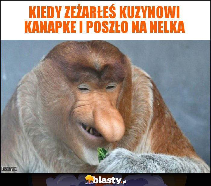 Kiedy zeżarłeś kuzynowi kanapke i poszło na Nelka