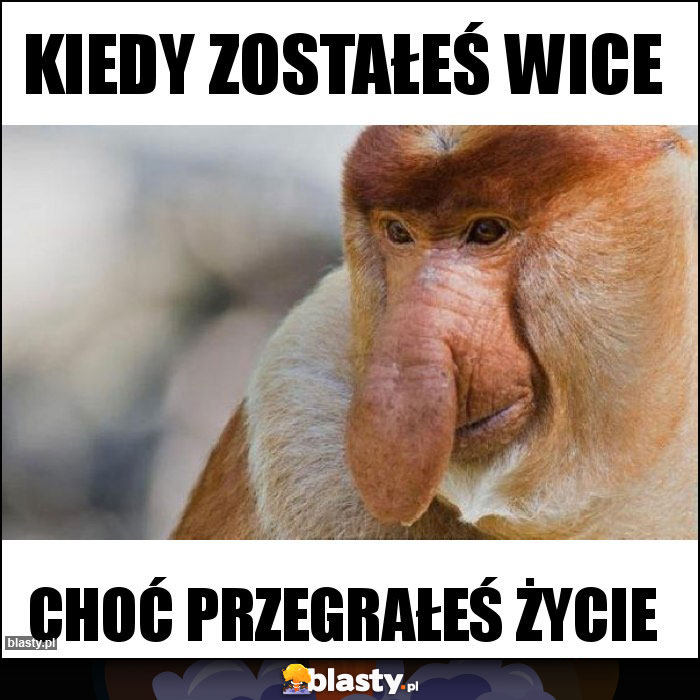 Kiedy zostałeś wice