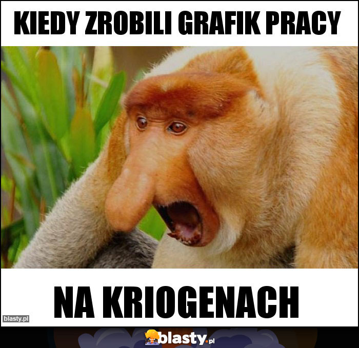 Kiedy zrobili grafik pracy