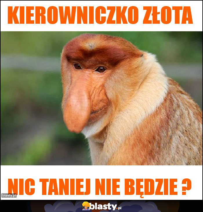 KIEROWNICZKO ZŁOTA