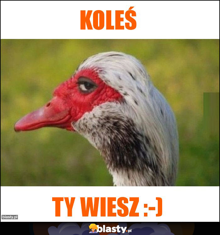 Koleś