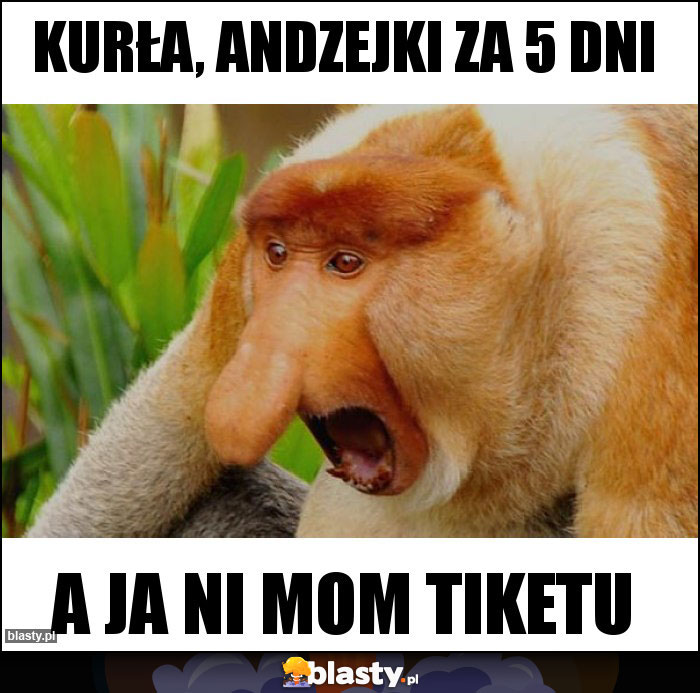 Kurła, Andzejki za 5 dni