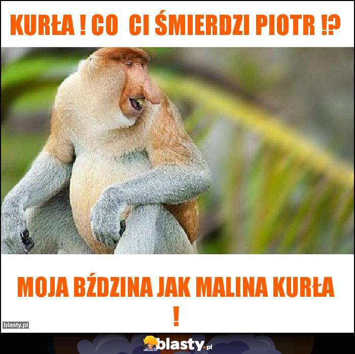 Kurła ! Co  ci śmierdzi Piotr !?