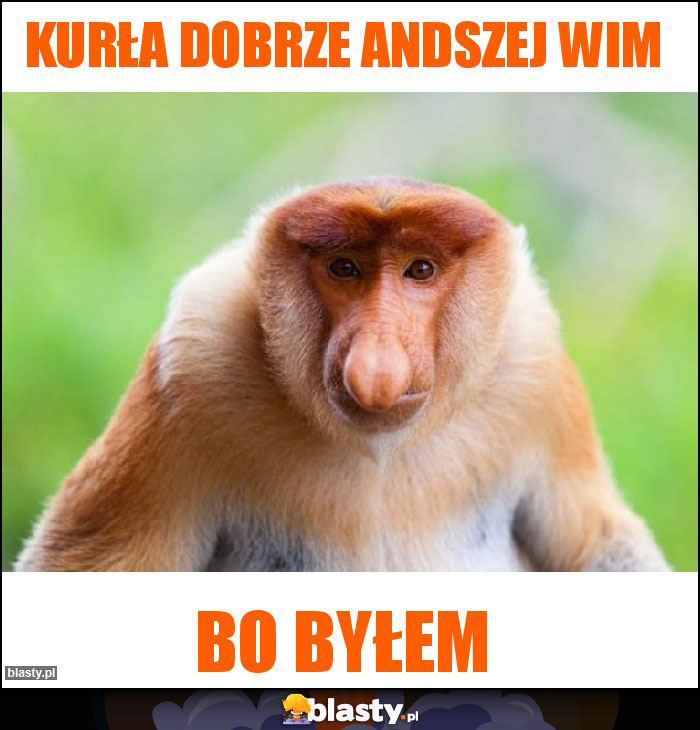 Kurła dobrze Andszej wim