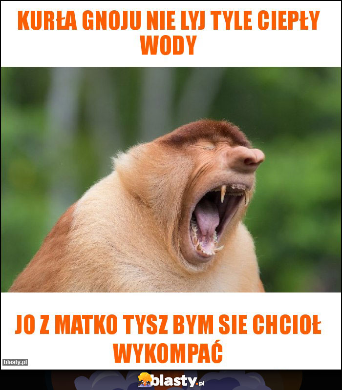 Kurła gnoju nie lyj tyle ciepły wody