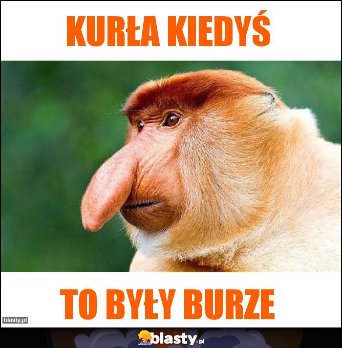 Kurła kiedyś