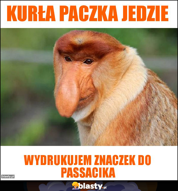 kurła paczka jedzie