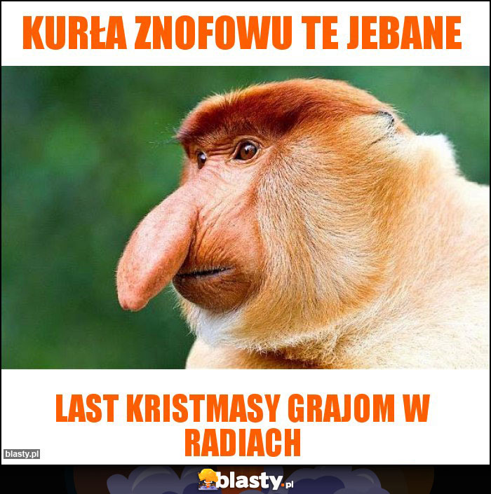 Kurła znofowu te jebane