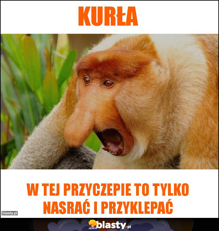 Kurła