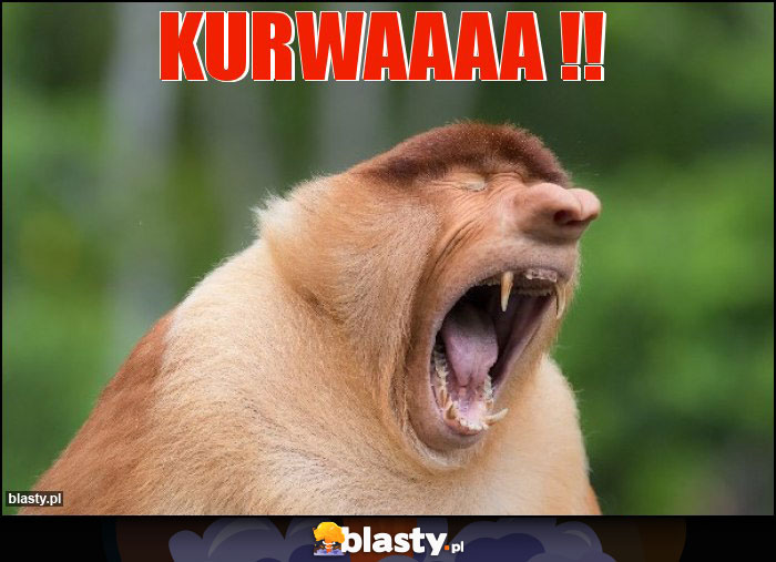 Kurwaaaa !!