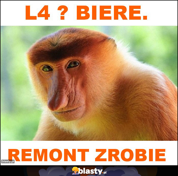 L4 ? Biere.