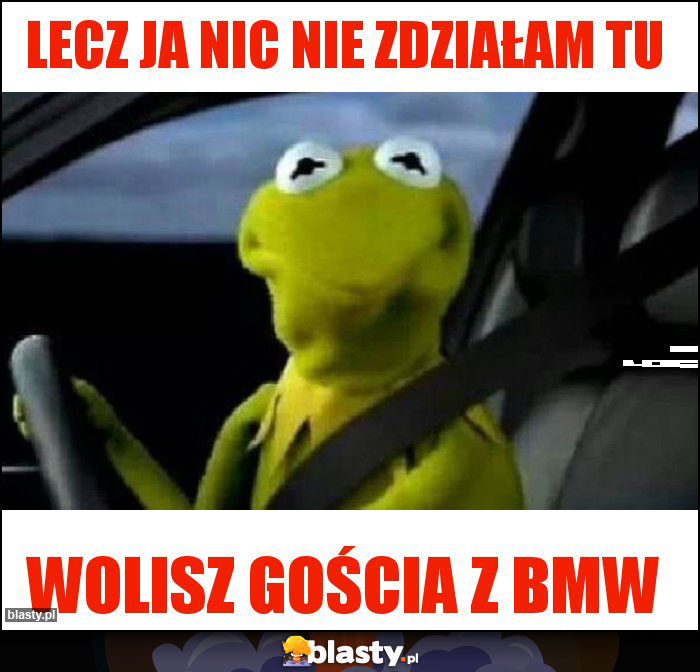 Lecz ja nic nie zdziałam tu