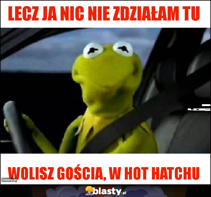 Lecz Ja nic nie zdziałam tu