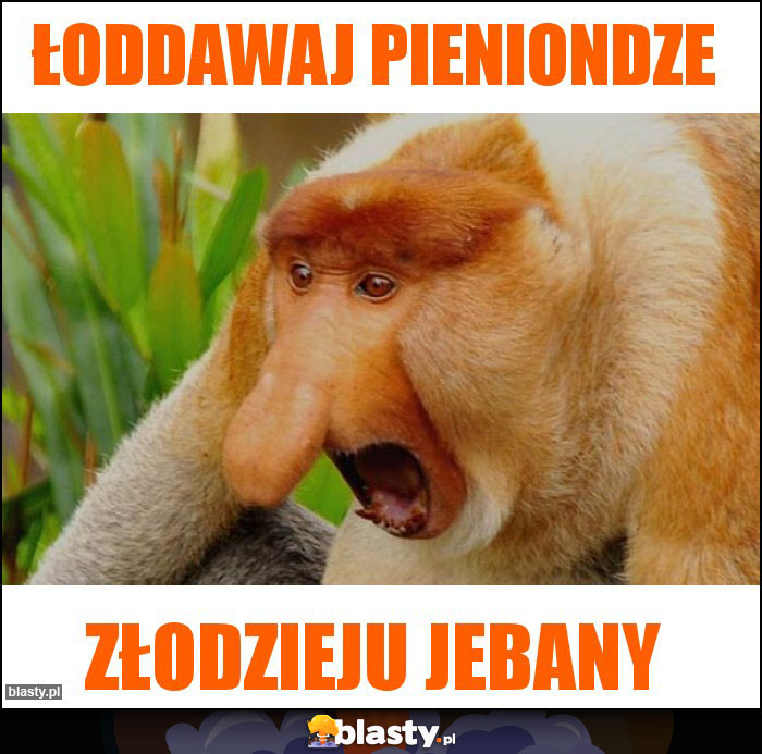 łoddawaj pieniondze