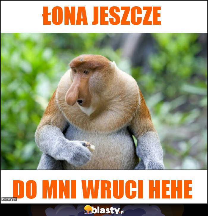 ŁONA JESZCZE