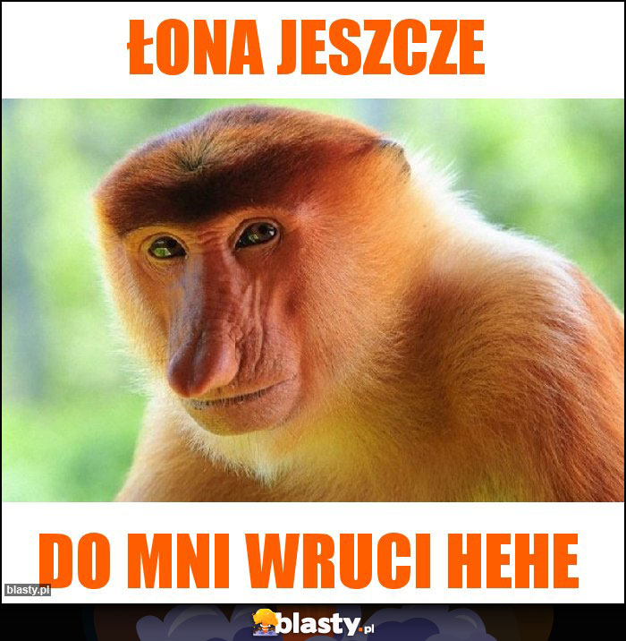 ŁONA JESZCZE