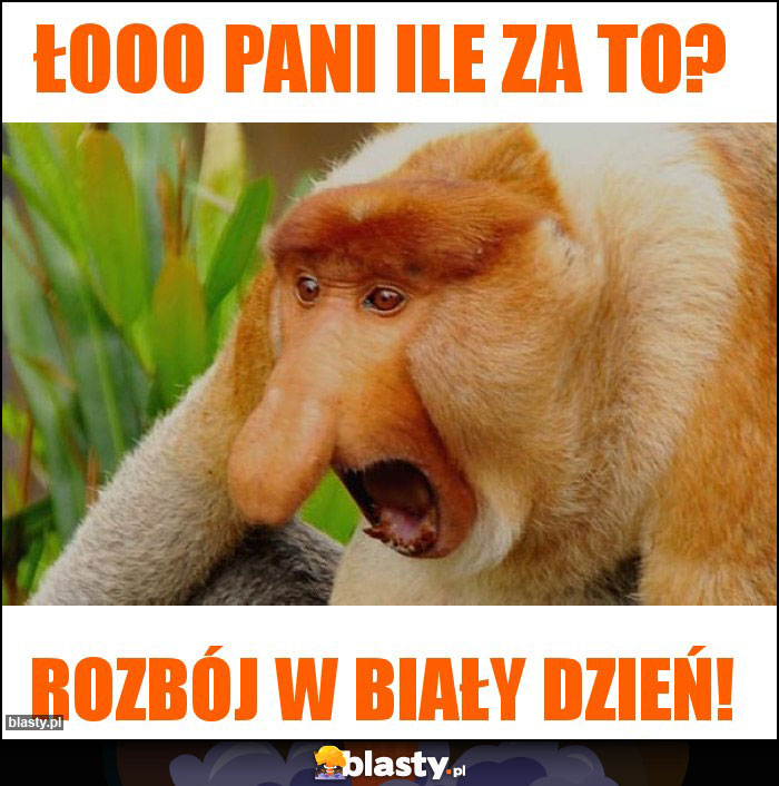 Łooo pani ile za to?