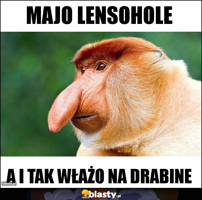 MAJO LENSOHOLE