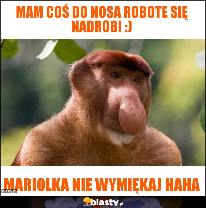 Mam coś do nosa robote się nadrobi :)