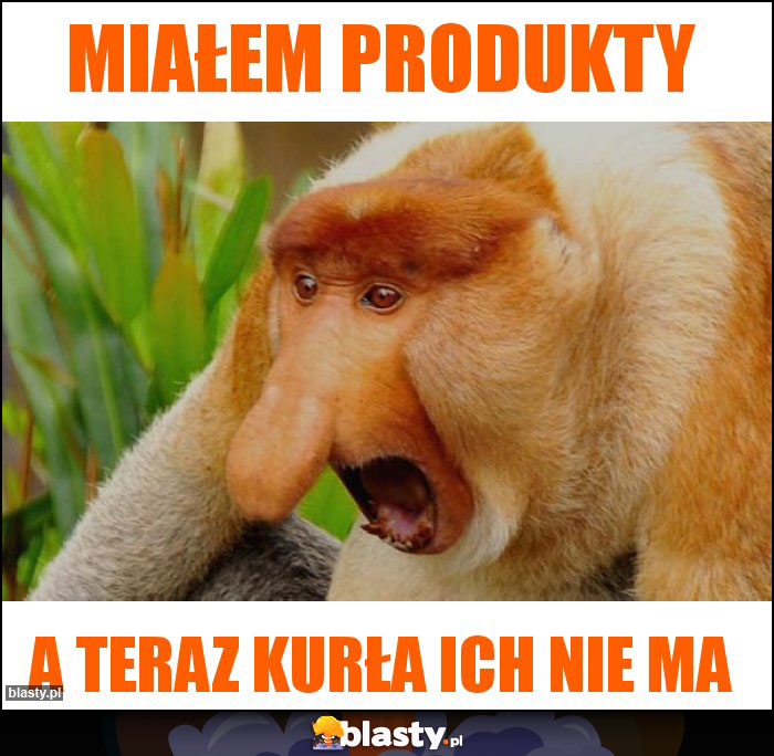 Miałem produkty