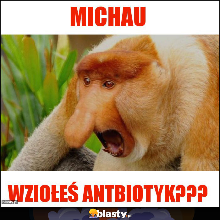 Michau