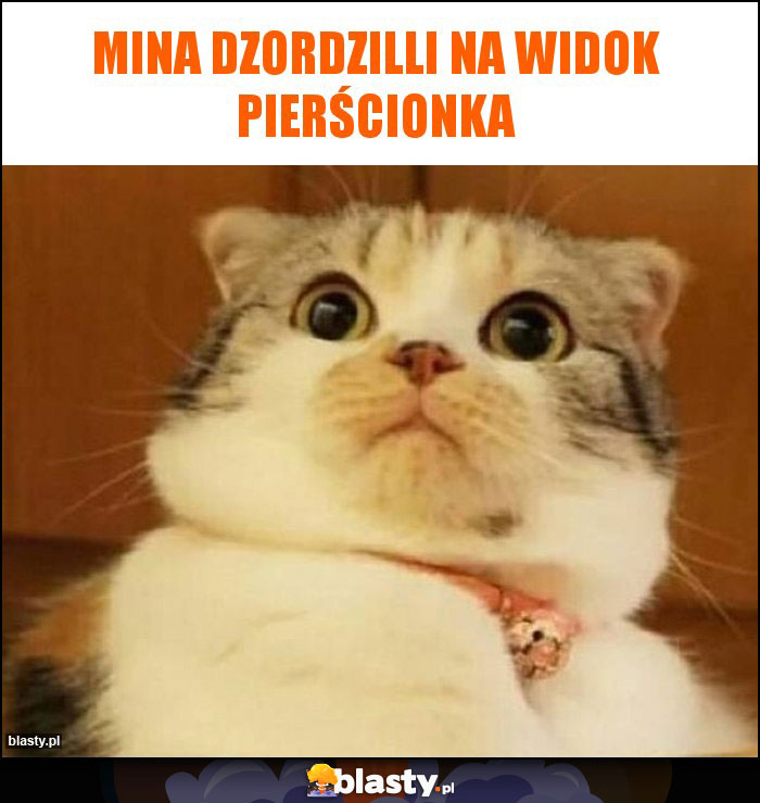 Mina Dzordzilli na widok pierścionka