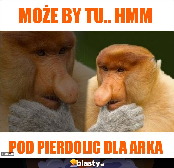 Może by tu.. Hmm