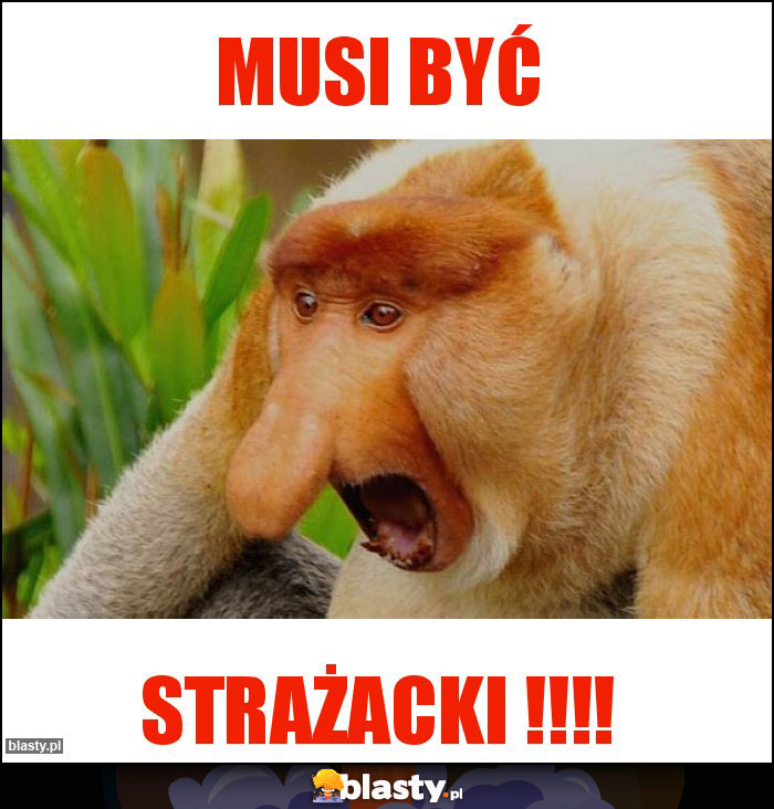 Musi być