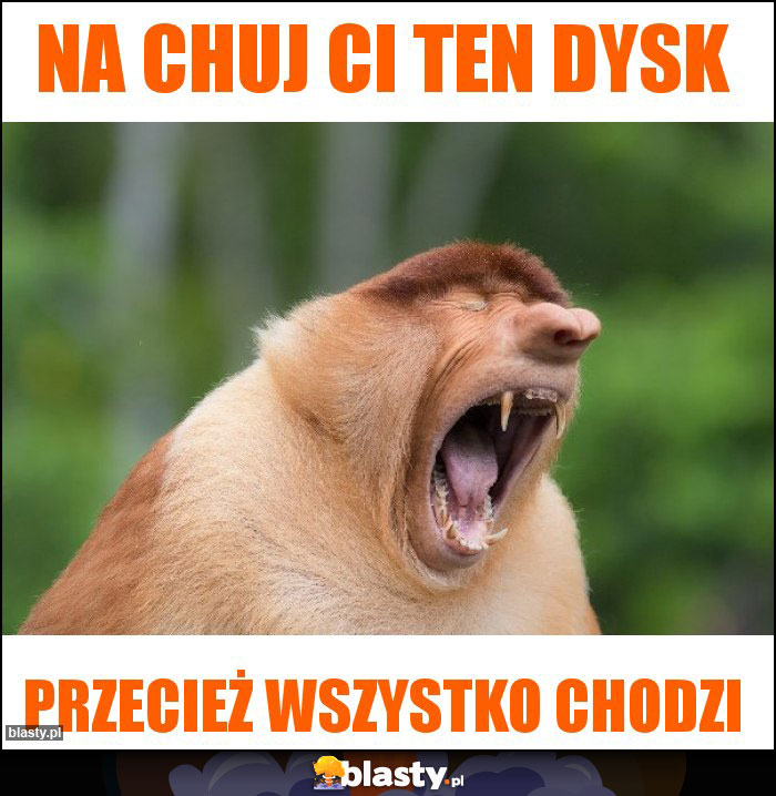 na chuj ci ten dysk