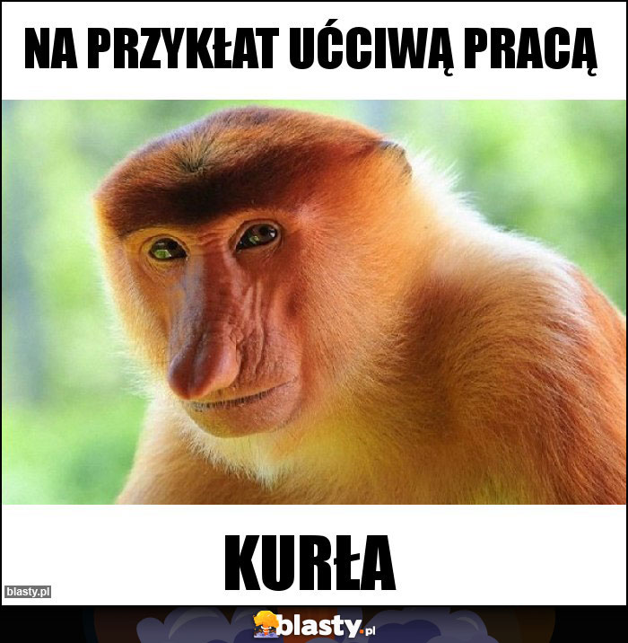 Na przykłat ućciwą pracą