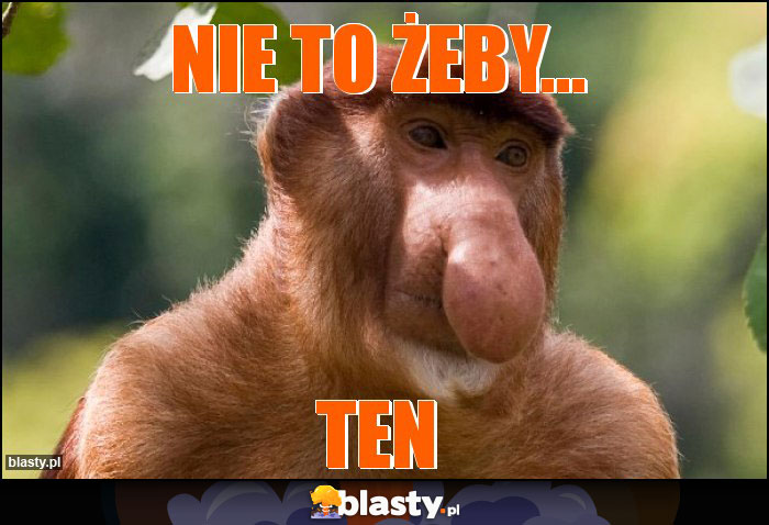 nie to żeby...