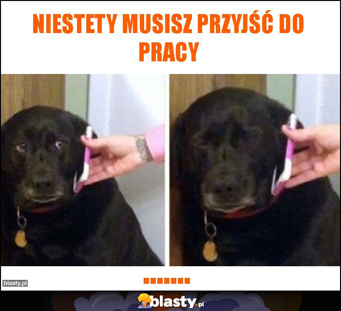 niestety musisz przyjść do pracy