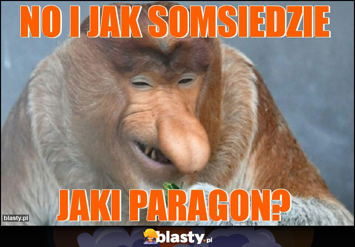 No i jak somsiedzie