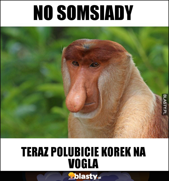 NO SOMSIADY